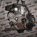 Двигатель Ford 2.0 NGB